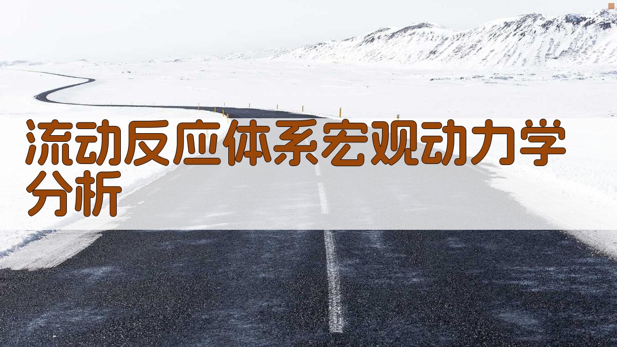 流动反应体系宏观动力学分析