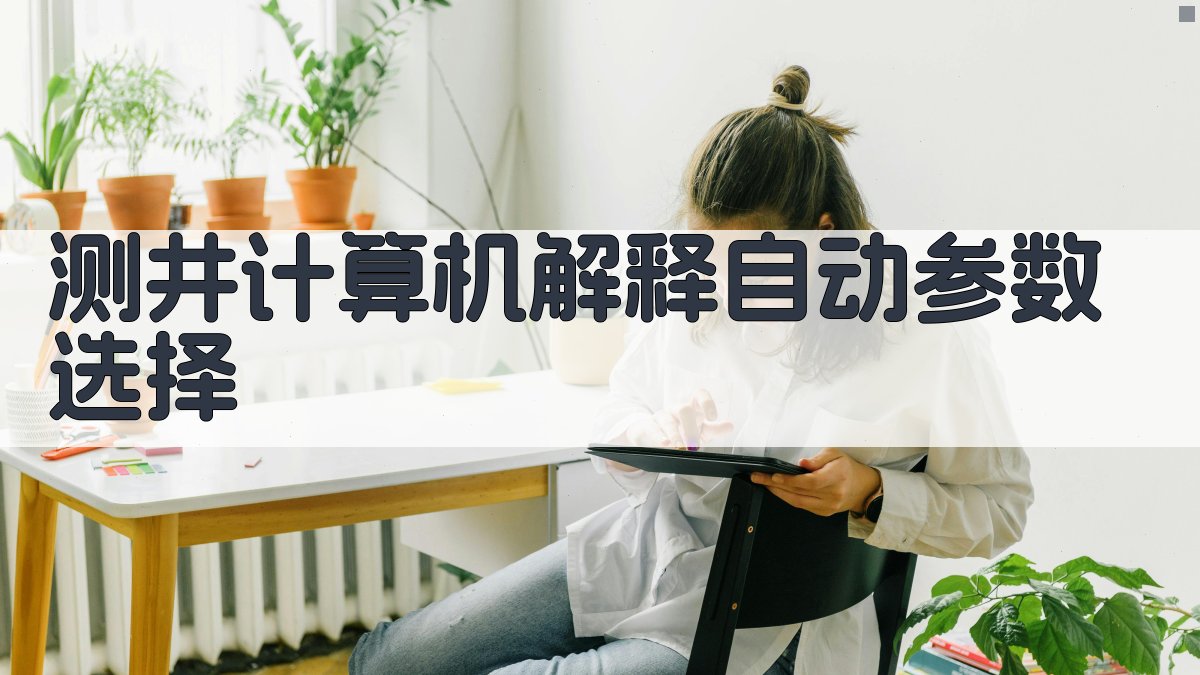 测井计算机解释自动参数选择