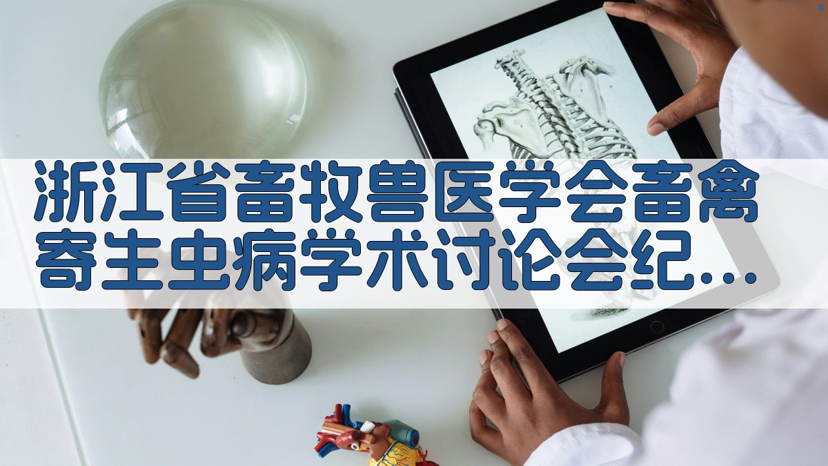 会议纪要分析工具