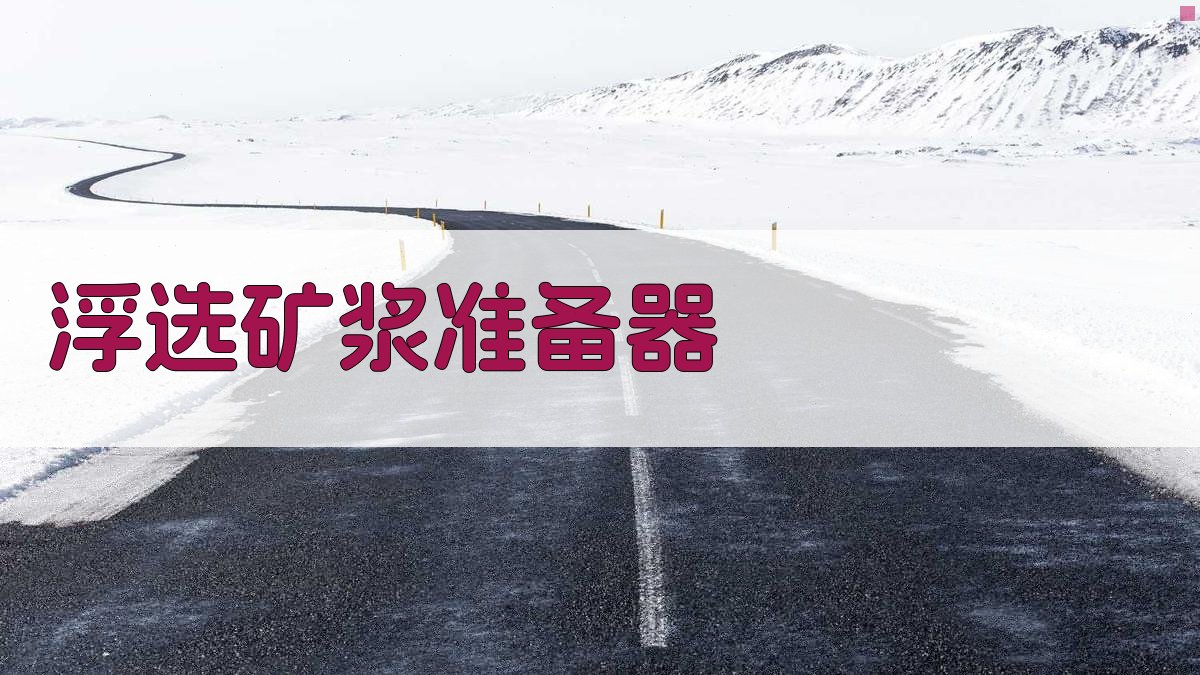 AI智能浮选矿浆准备器