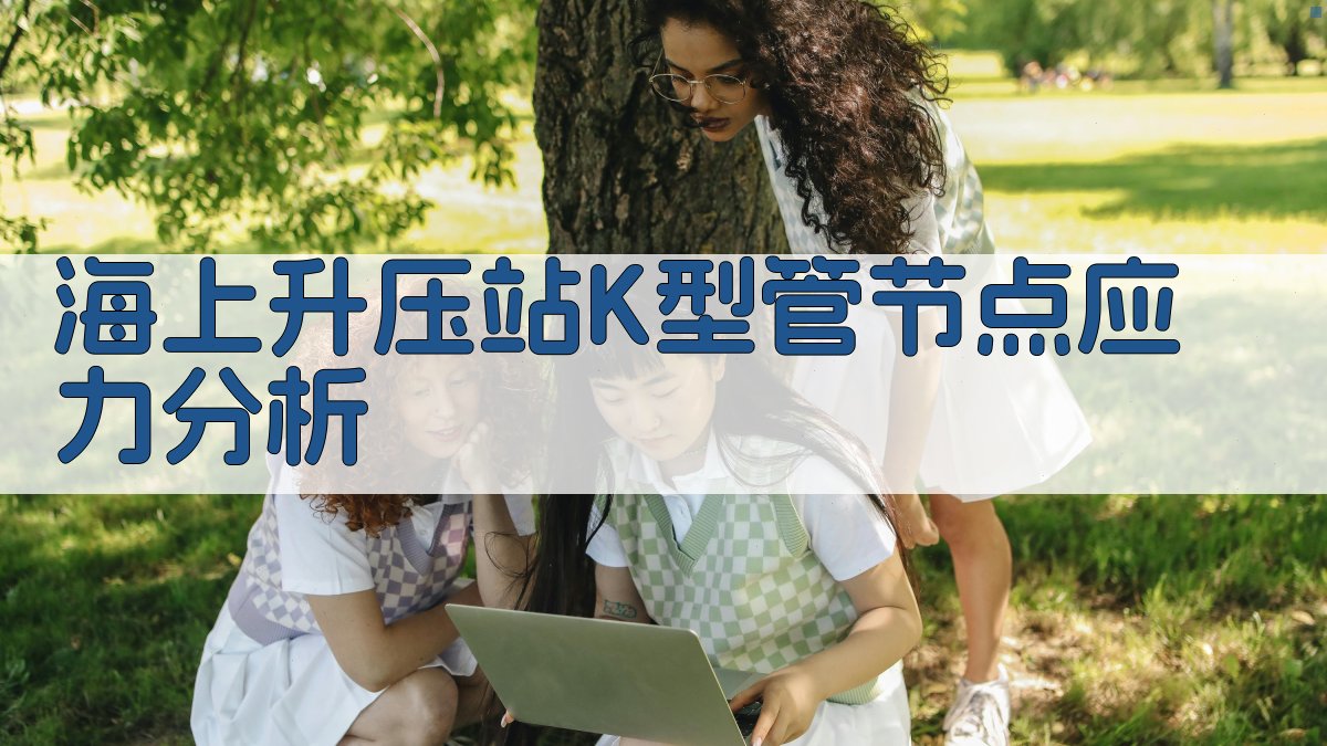 AI海上升压站K型管节点应力分析