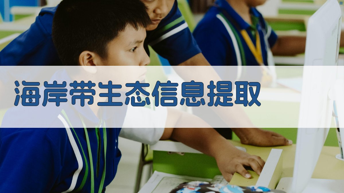 AI海岸带生态信息提取技术研究助手