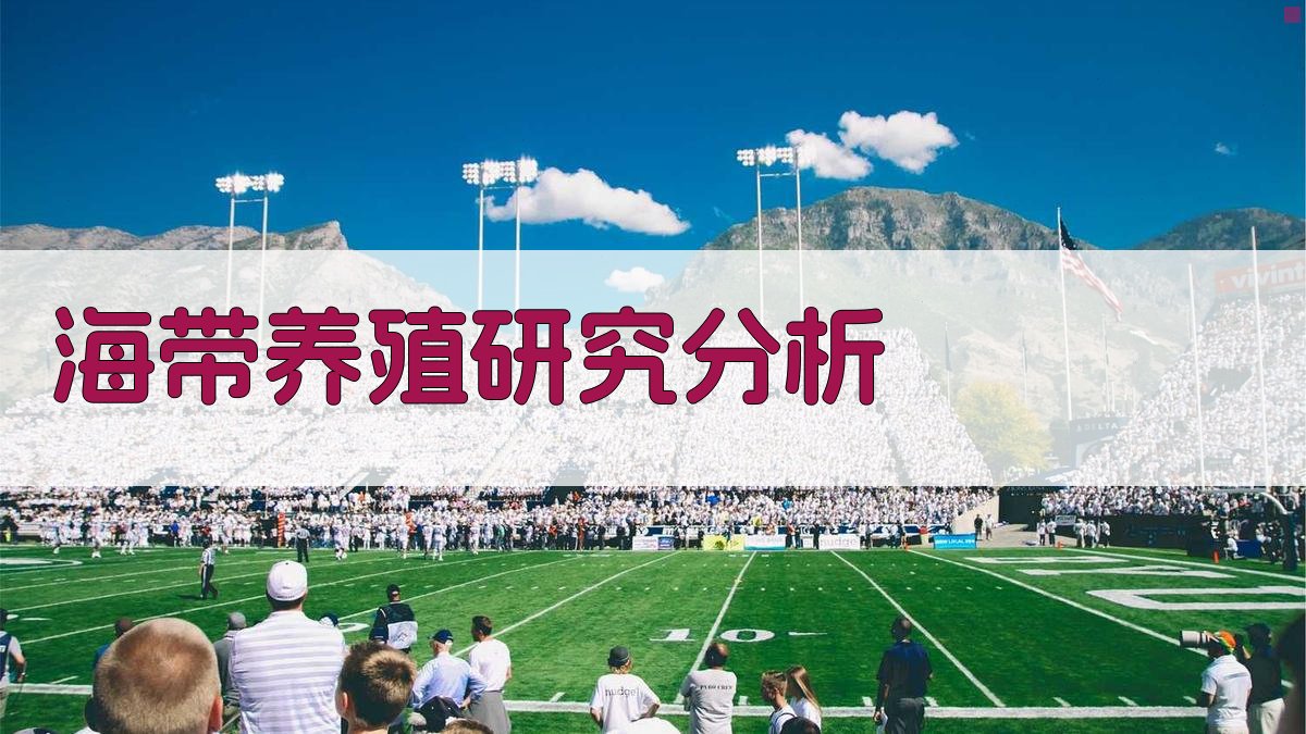 AI海带养殖研究分析