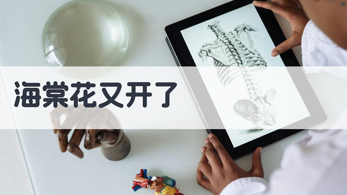 AI海棠花主题诗歌创作