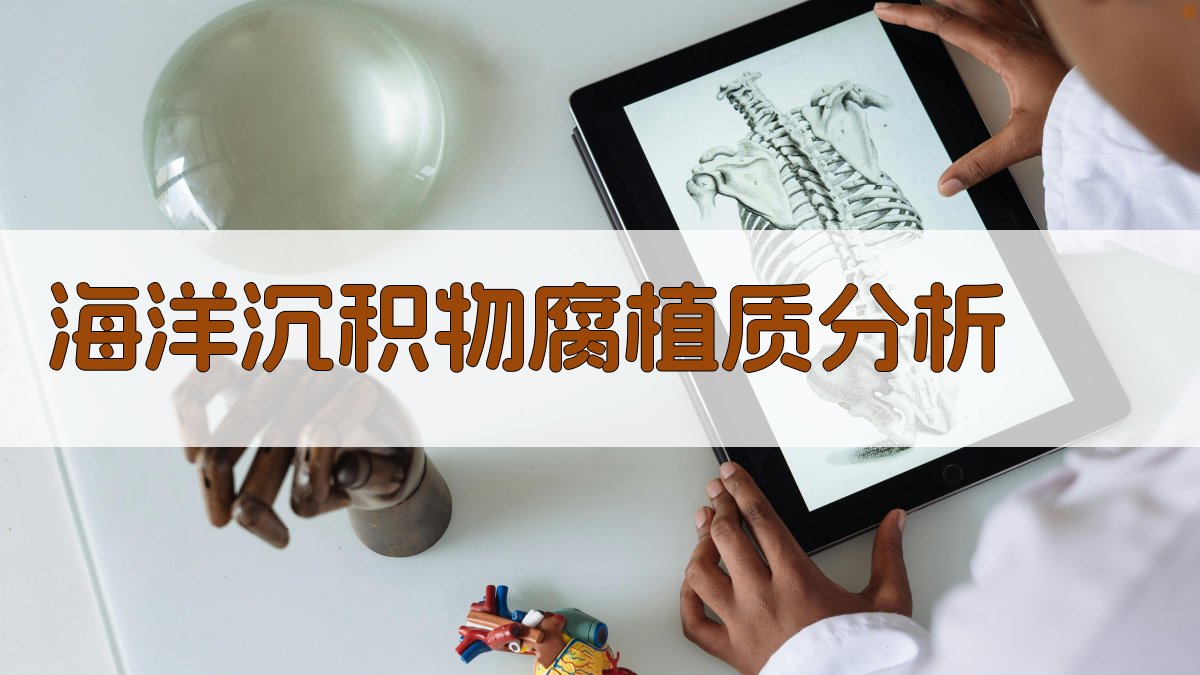 AI海洋沉积物腐植质分析工具