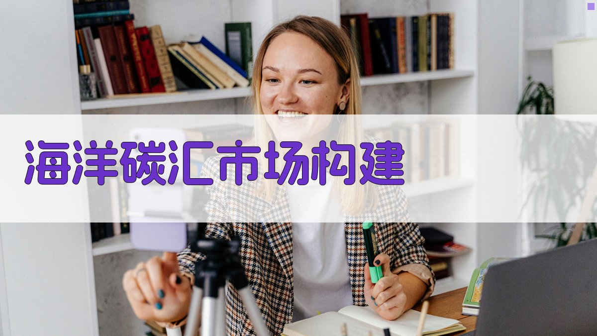 新质生产力推动海洋碳汇市场构建的逻辑与对策