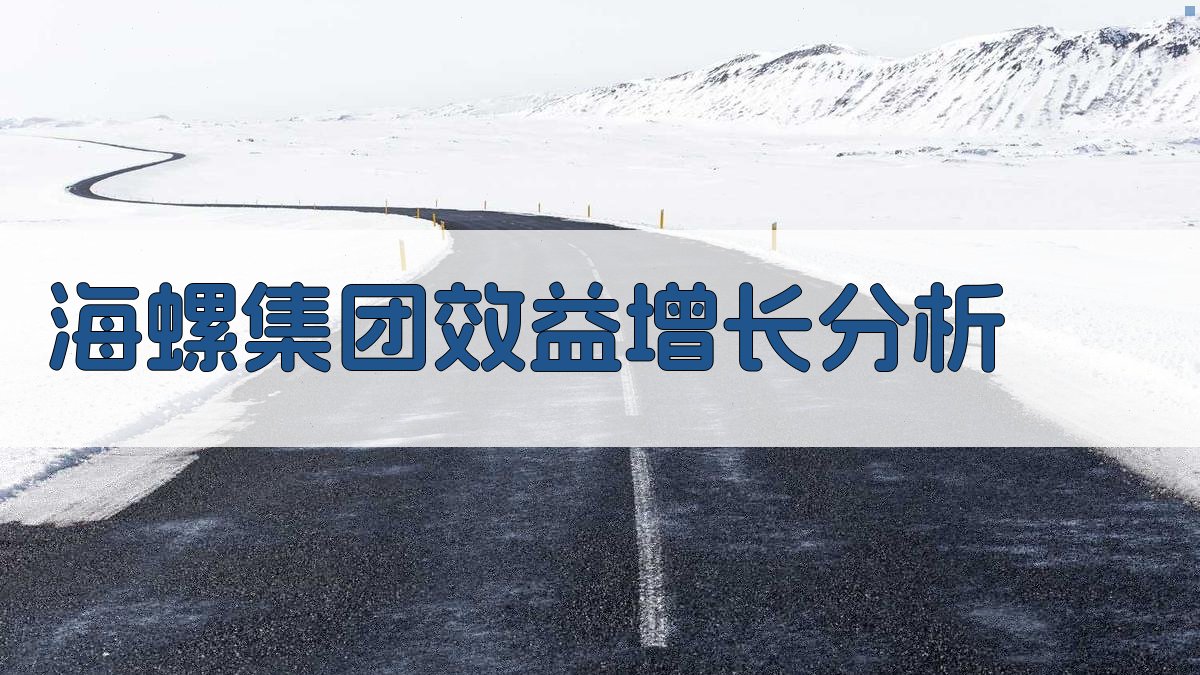海螺集团效益增长分析