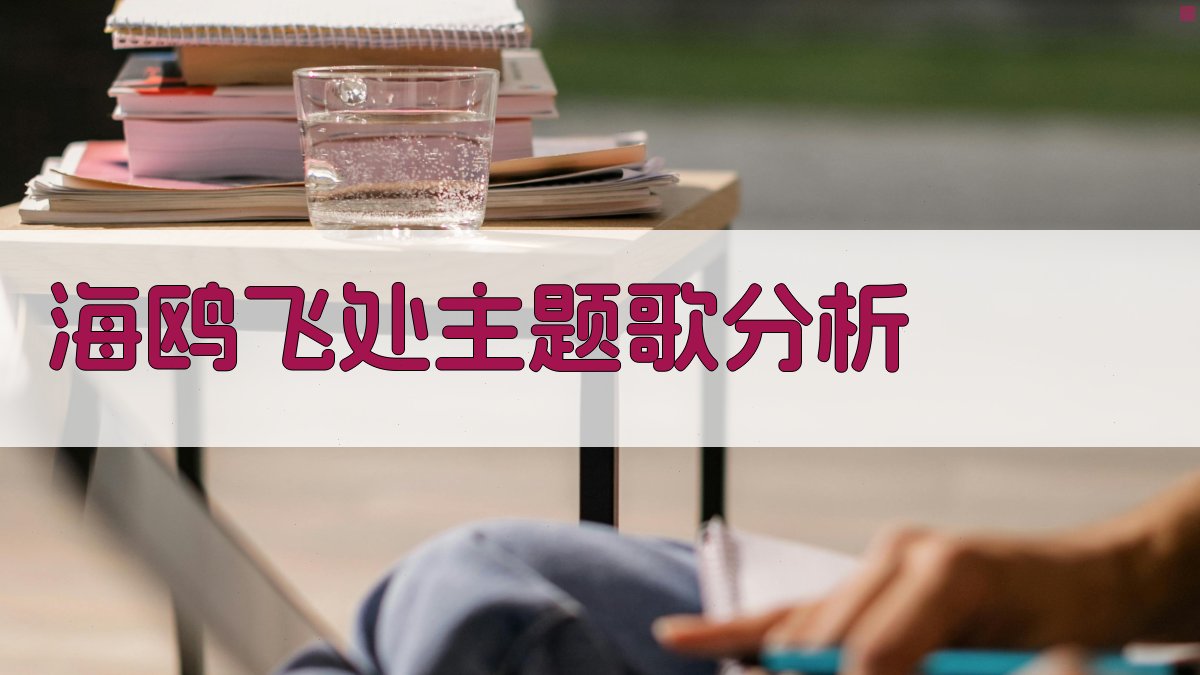 海鸥飞处主题歌深度分析