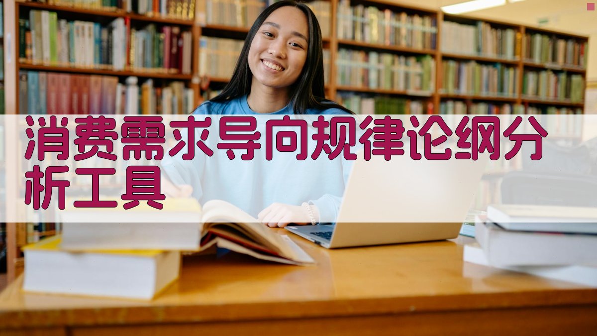 消费需求导向规律论纲分析工具