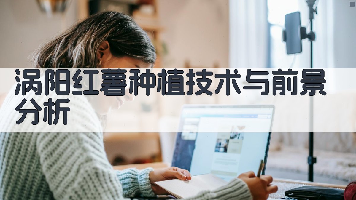 涡阳红薯种植技术与前景分析