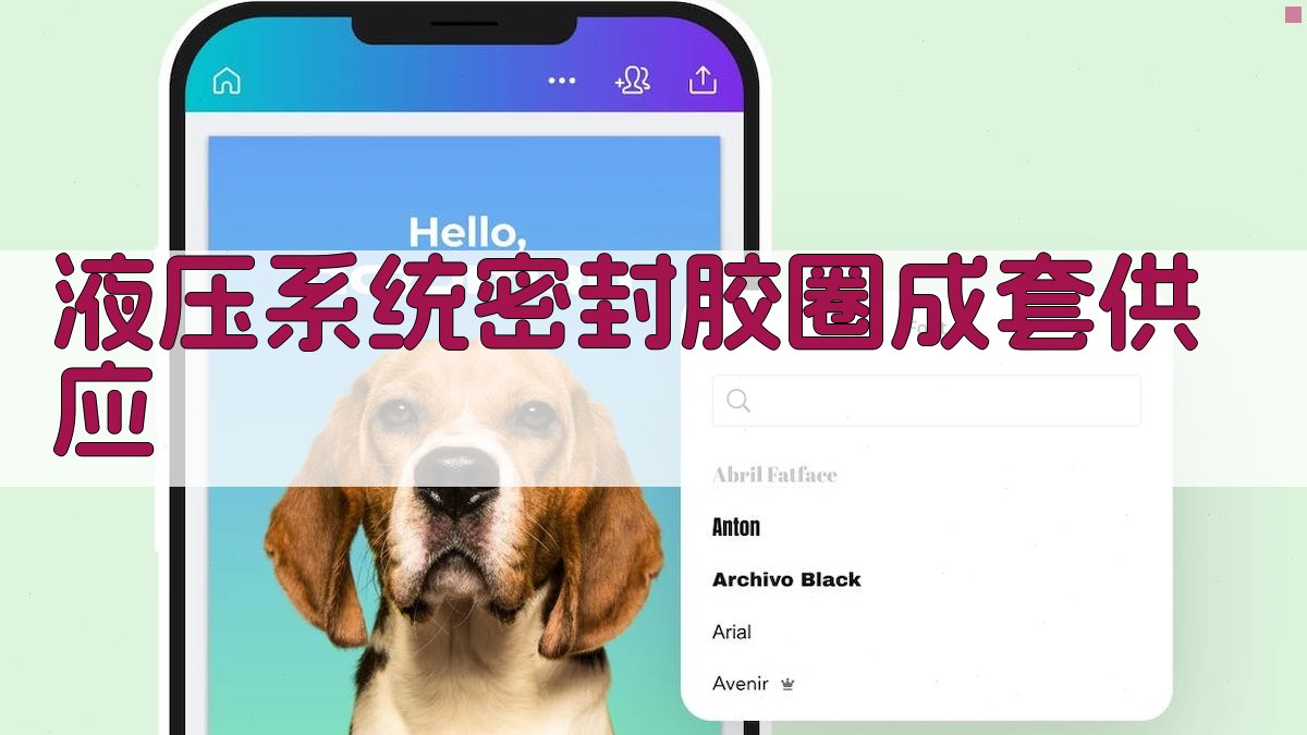 液压系统密封胶圈成套供应