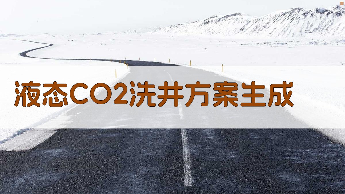 液态CO2洗井方案生成