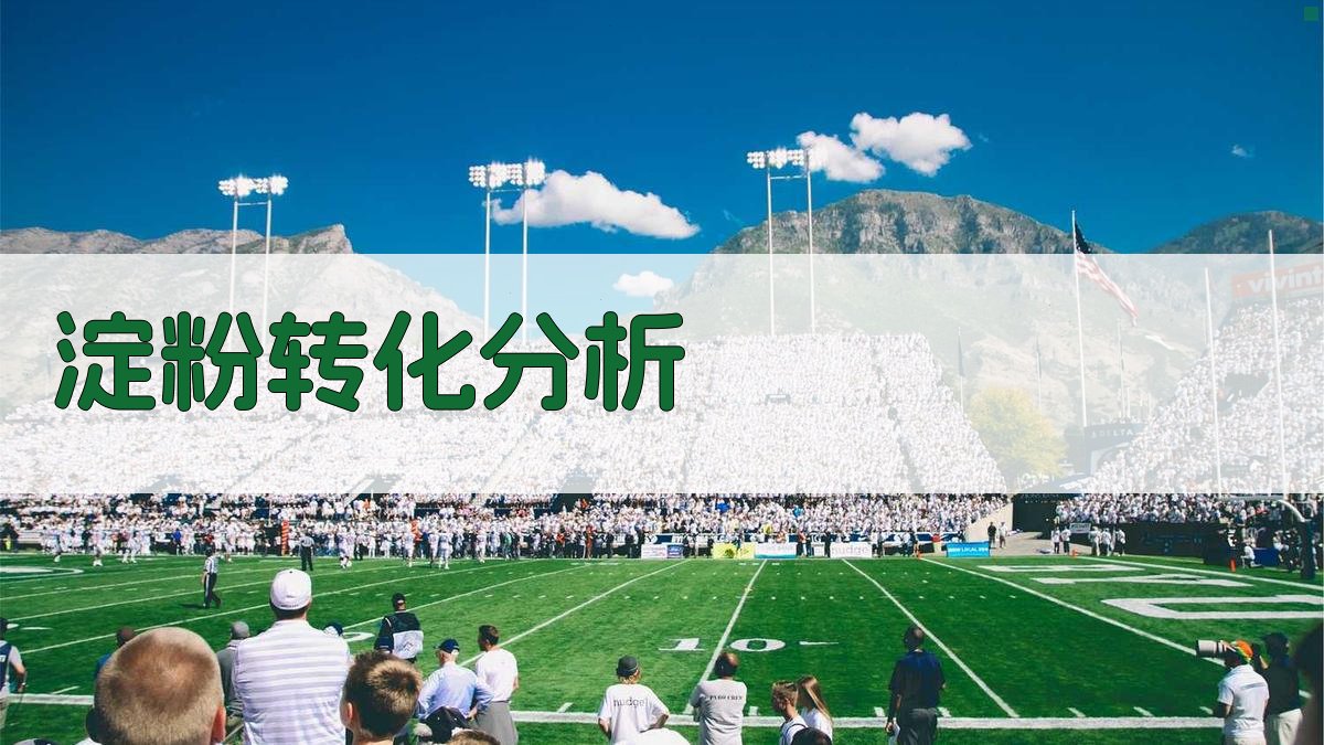 AI淀粉转化分析