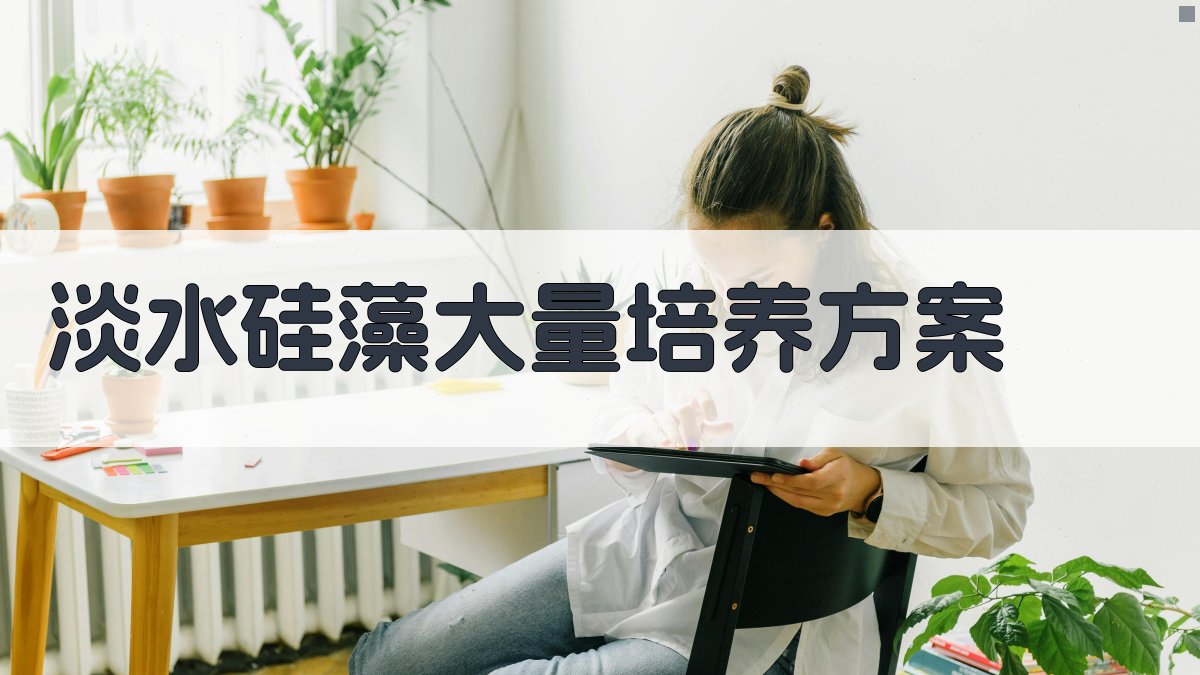 淡水硅藻大量培养方案