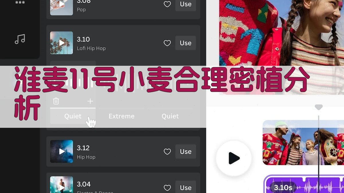 淮麦11号小麦合理密植分析