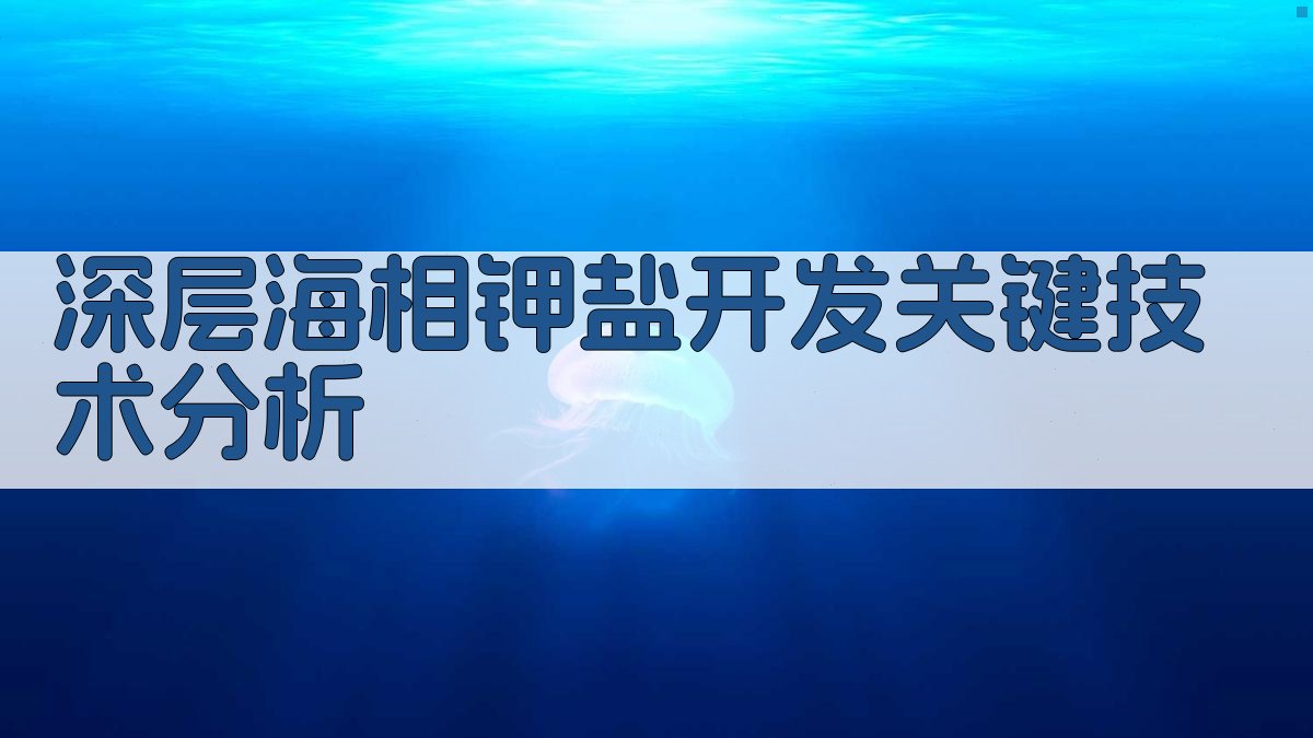 深层海相钾盐开发关键技术分析