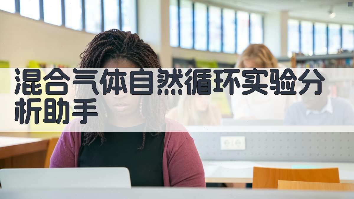 混合气体自然循环实验分析助手