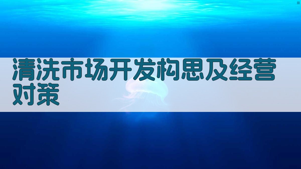 清洗市场开发构思及经营对策