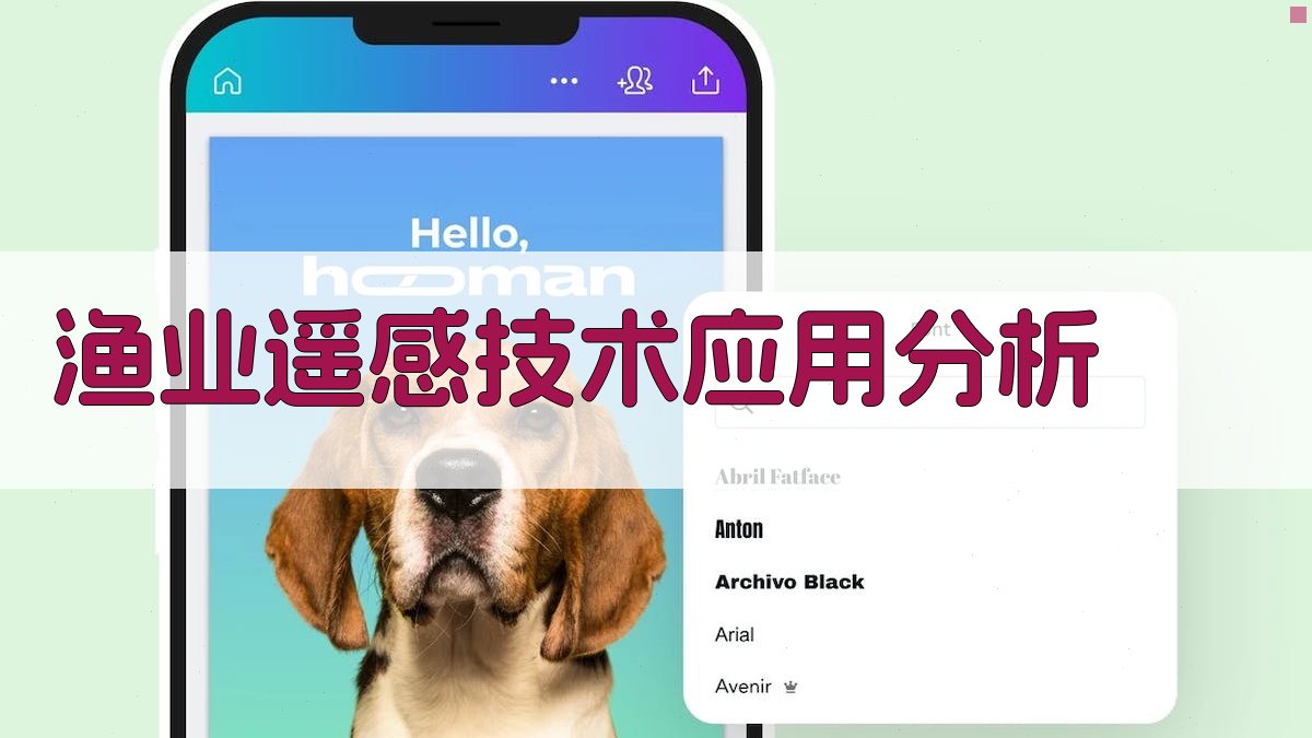 AI渔业遥感技术应用分析