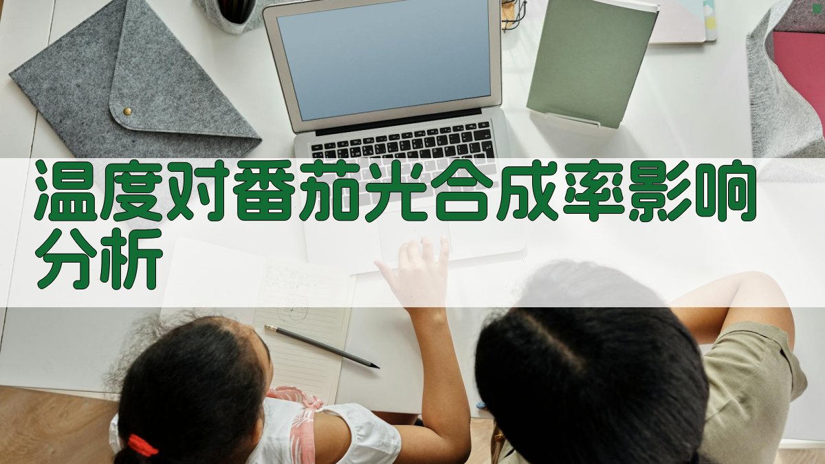 AI温度对番茄光合成率影响分析工具