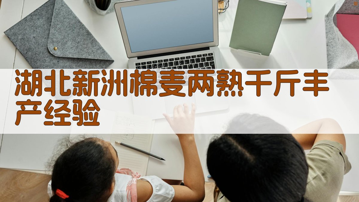 湖北新洲棉麦两熟千斤丰产经验