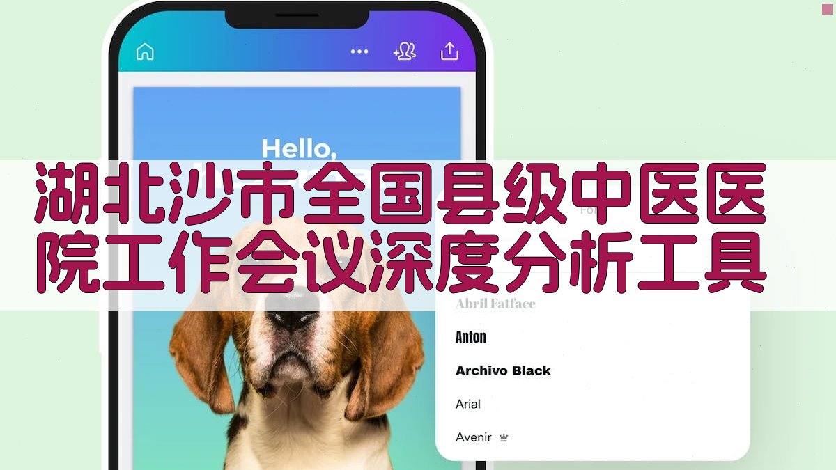 AI深度分析沙市会议