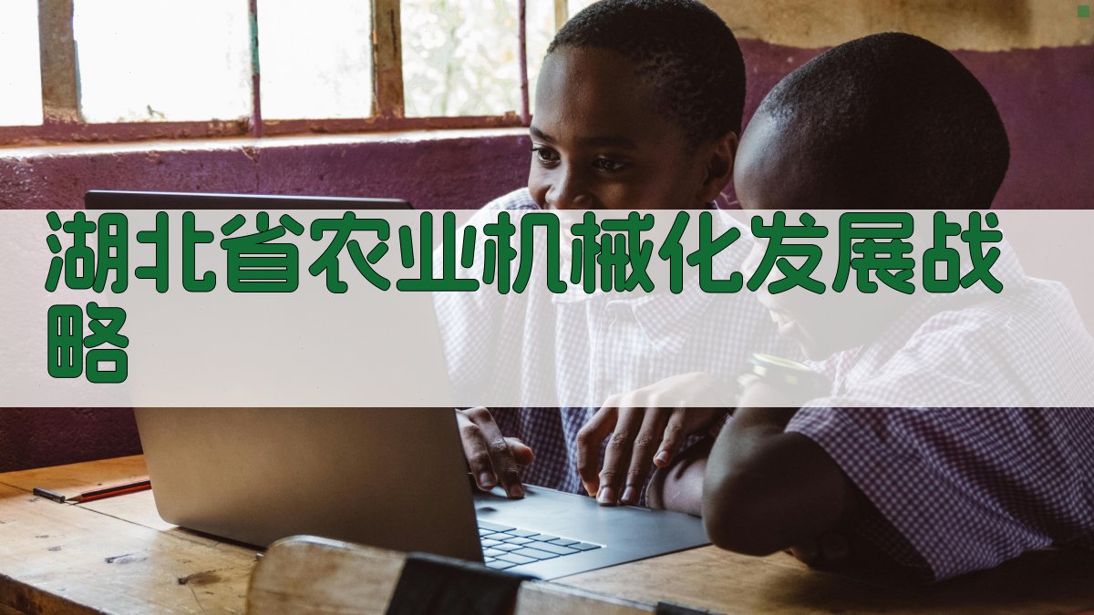 湖北省农业机械化发展战略