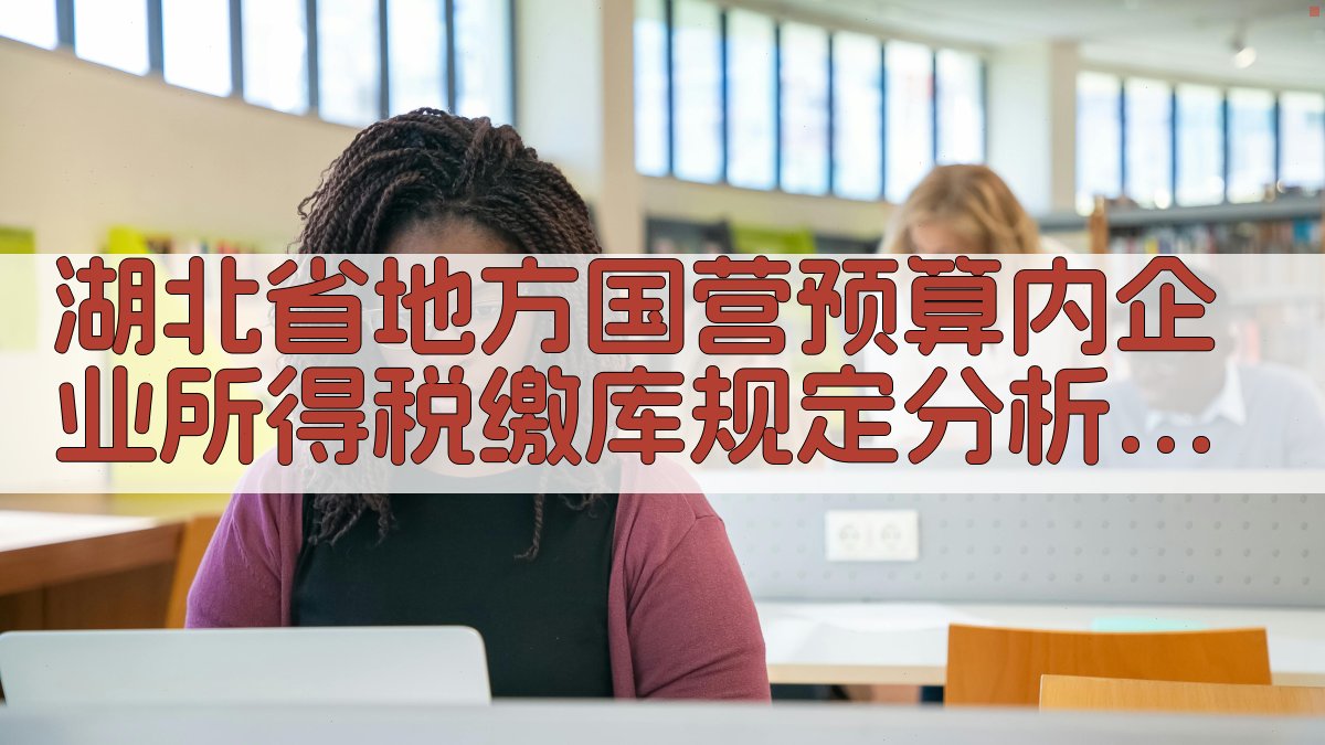 湖北省地方国营预算内企业所得税缴库规定分析工具