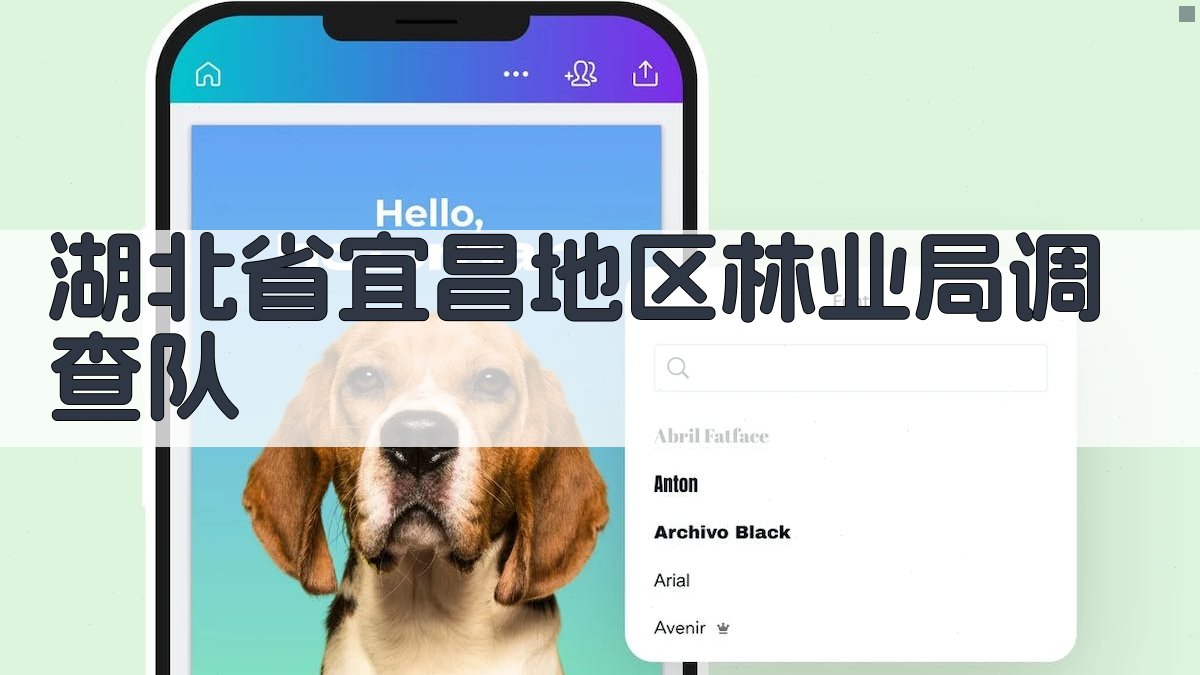 湖北省宜昌地区林业局调查队