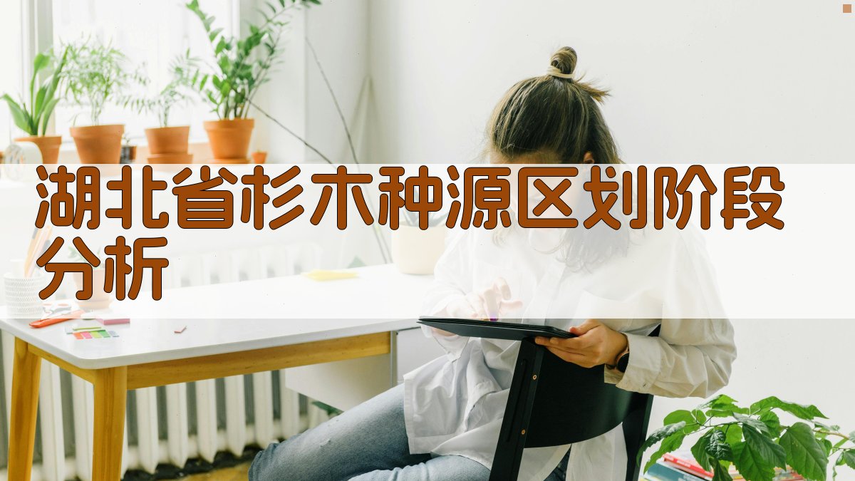 湖北省杉木种源区划阶段分析