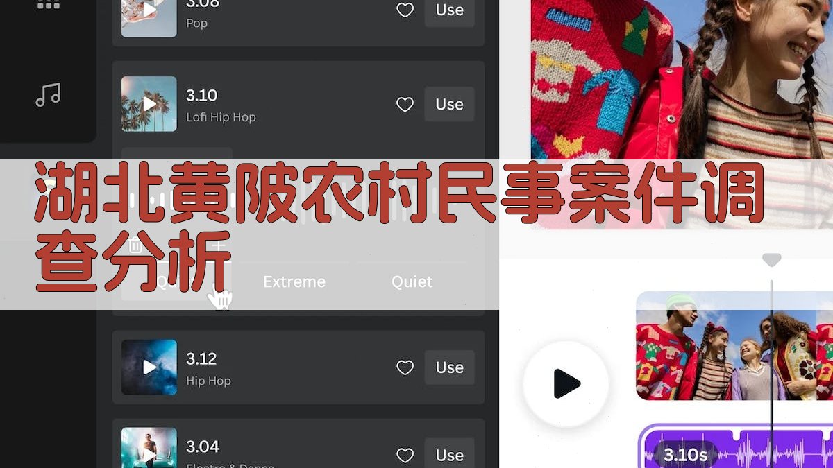 湖北黄陂农村民事案件调查分析