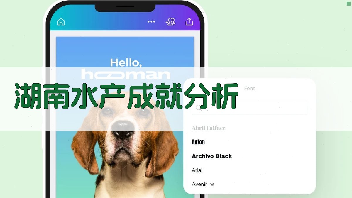 湖南水产成就分析