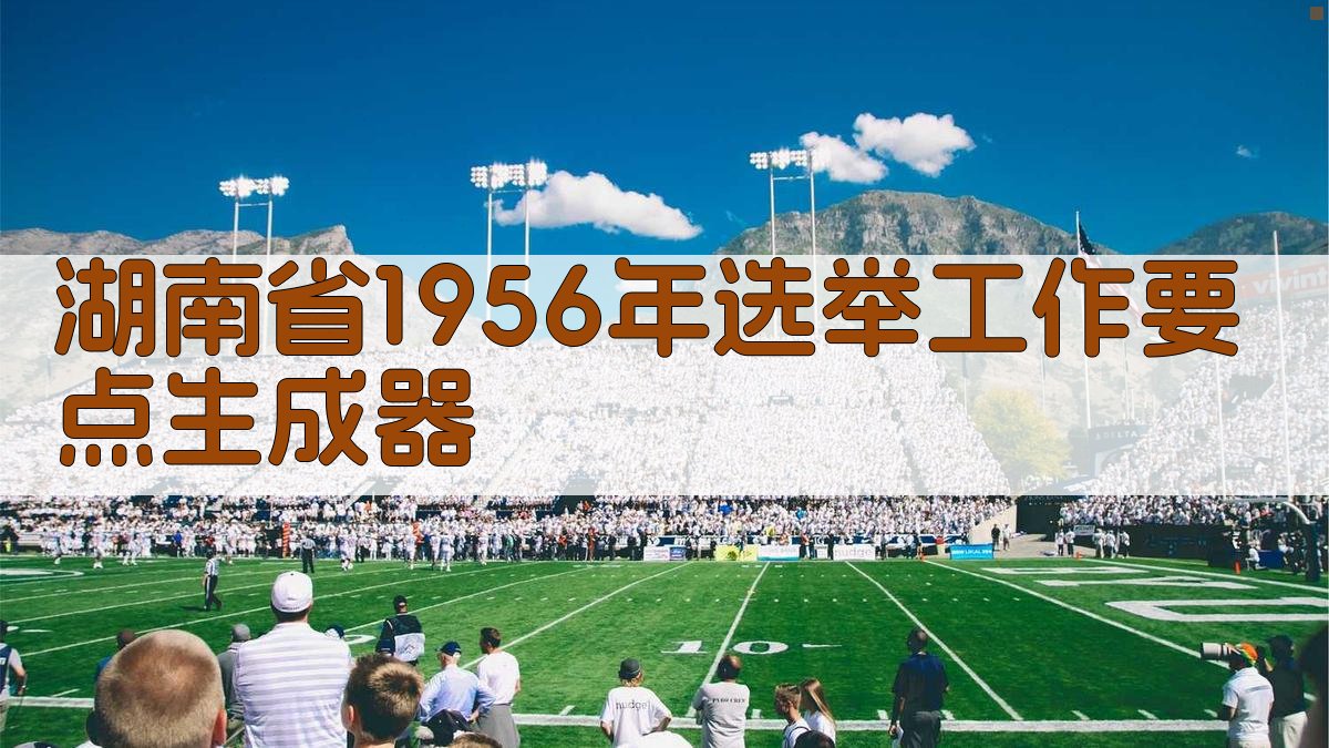 AI一键生成湖南省1956年选举工作要点