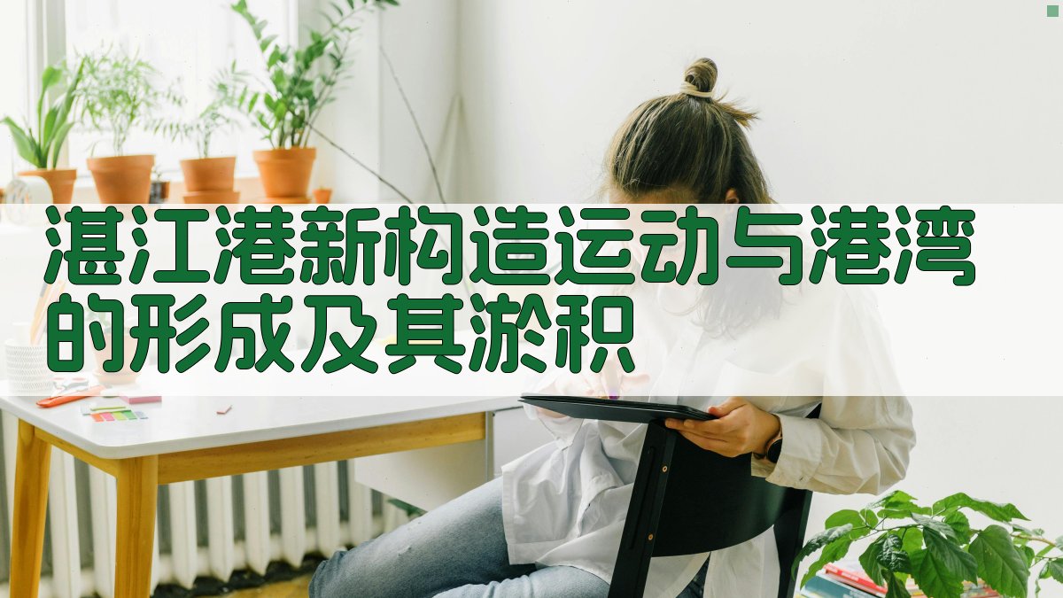 湛江港地质分析
