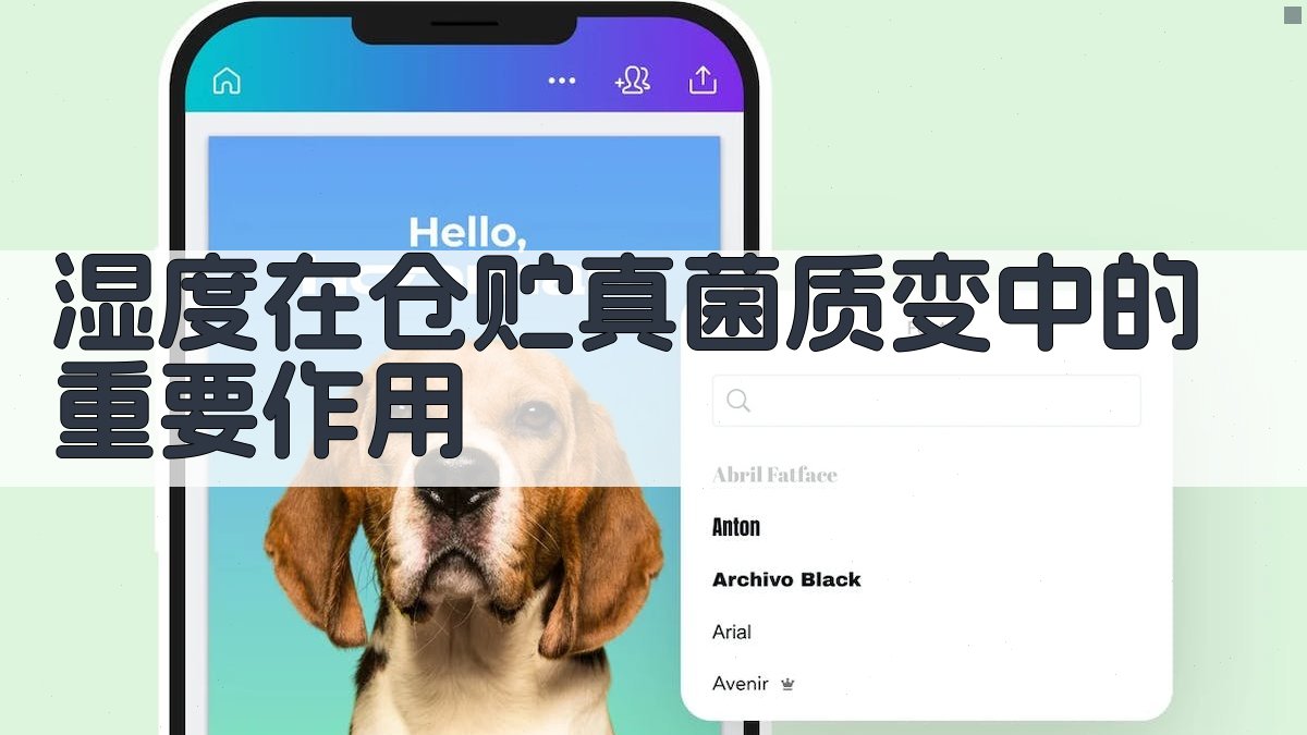 湿度在仓贮真菌质变中的重要作用