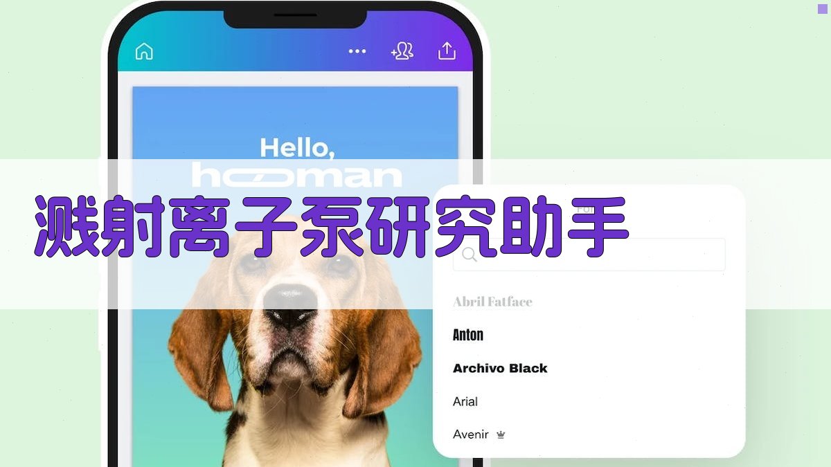 Φ6毫米阳极孔层状分布式溅射离子泵研究助手