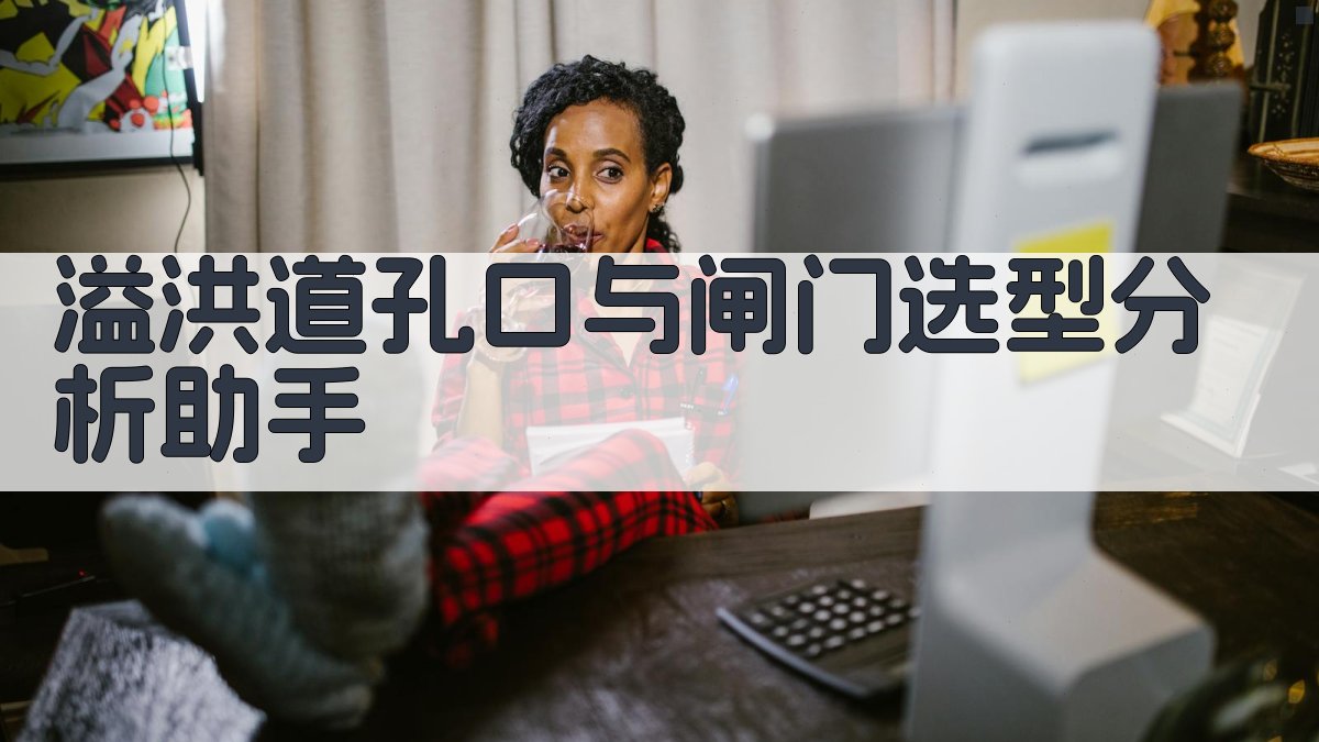 溢洪道孔口与闸门选型分析助手