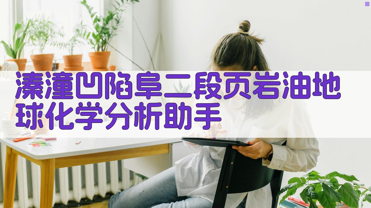 溱潼凹陷阜二段页岩油地球化学分析助手