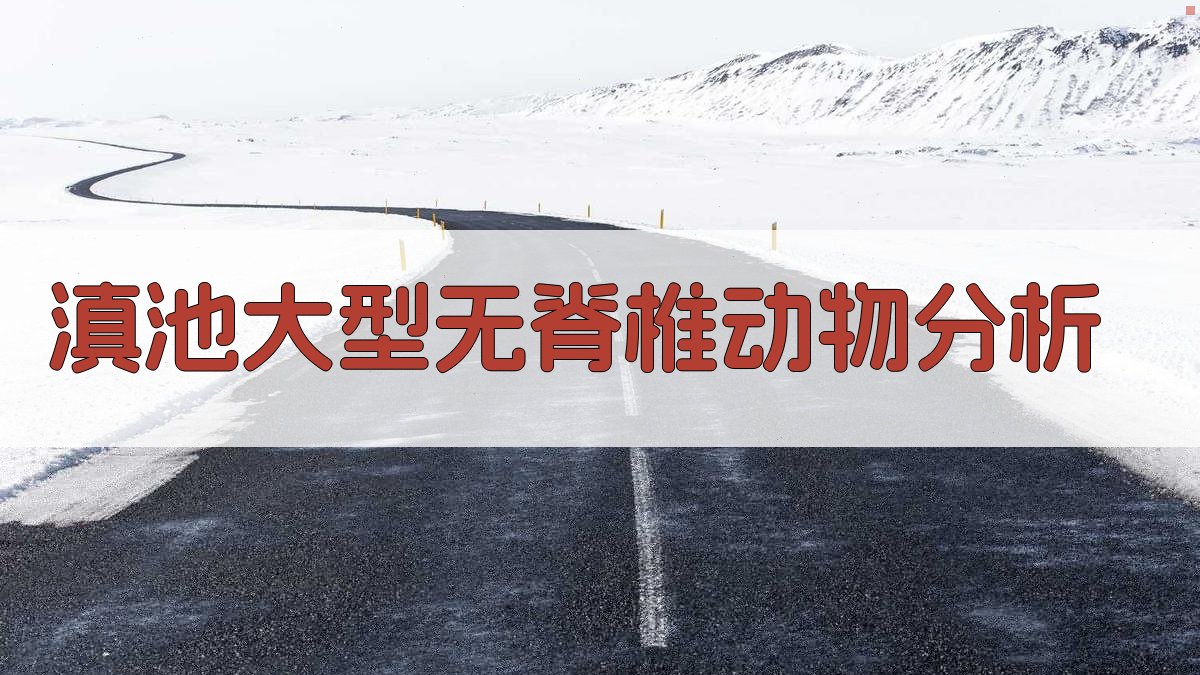 滇池大型无脊椎动物分析