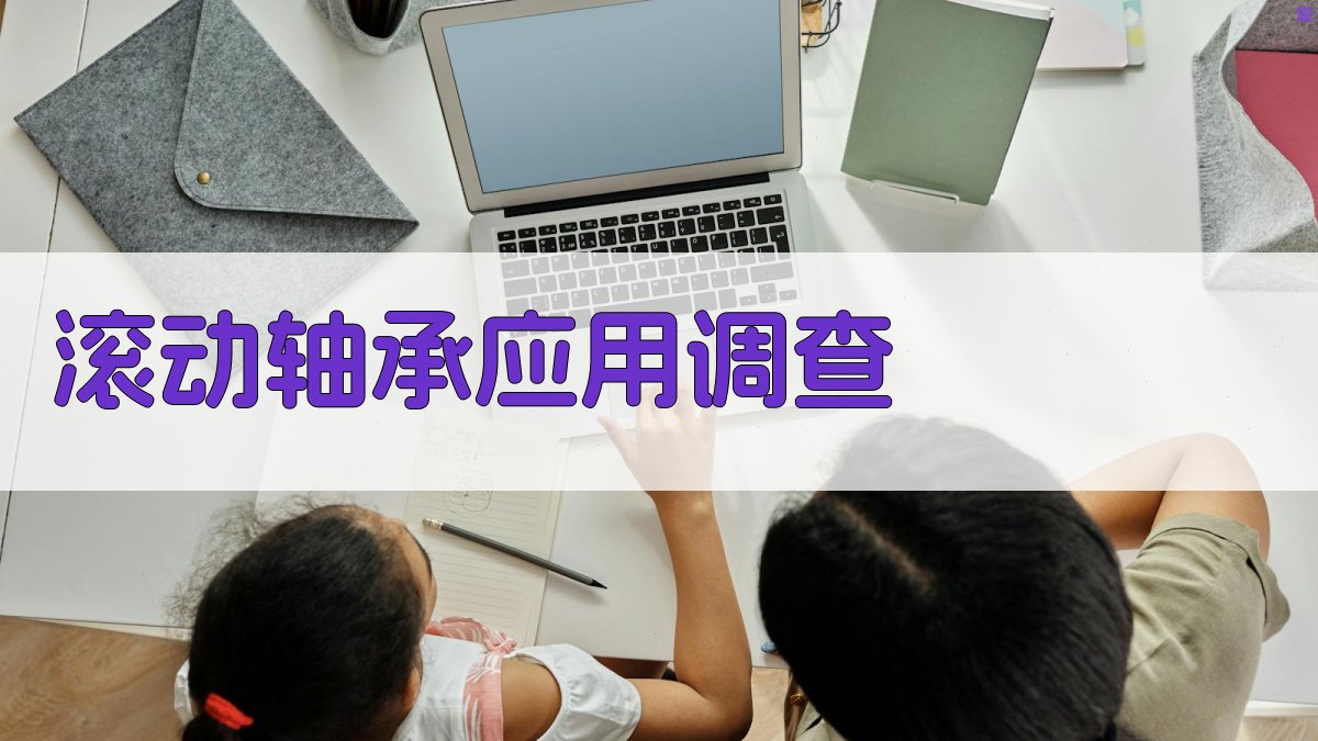 滚动轴承应用调查