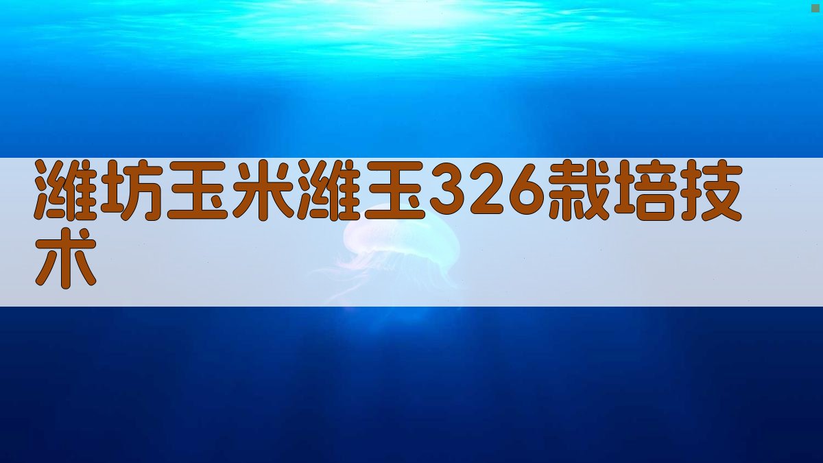 潍坊地区玉米潍玉326密植高产栽培技术