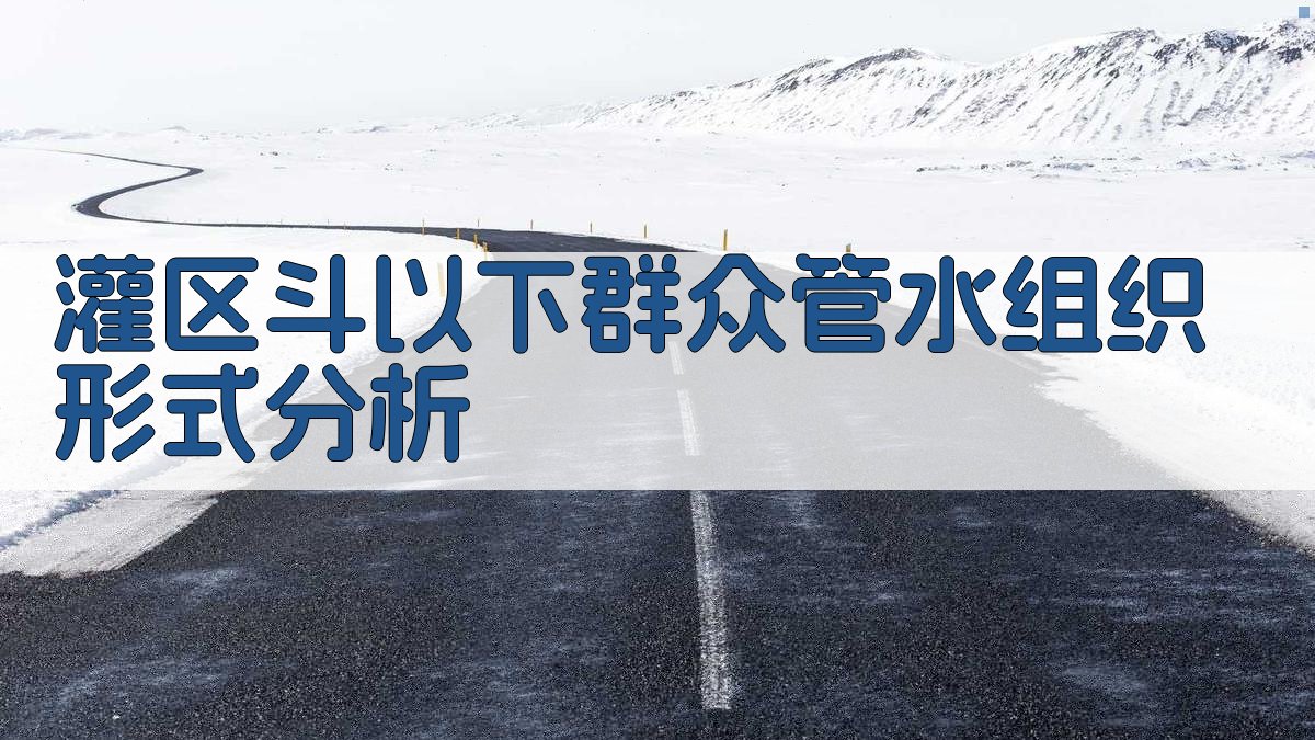 灌区斗以下群众管水组织形式分析