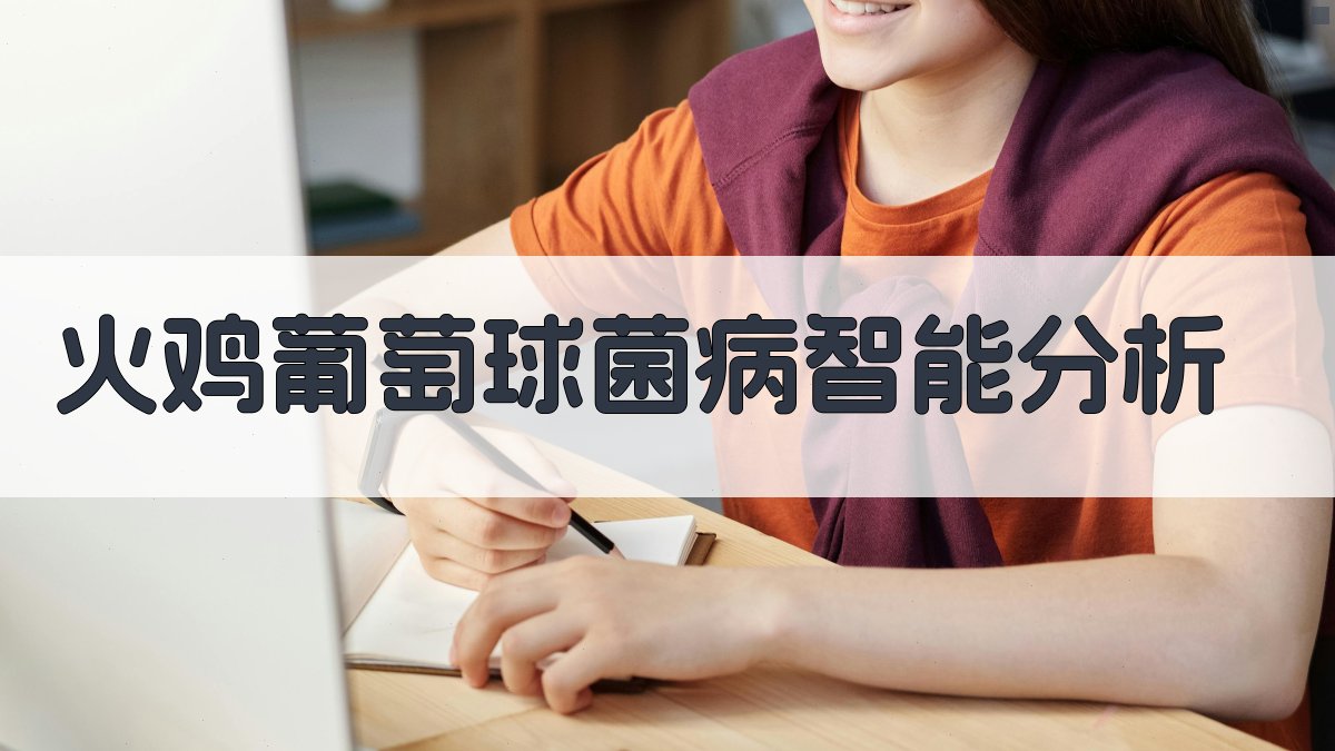 火鸡葡萄球菌病智能分析