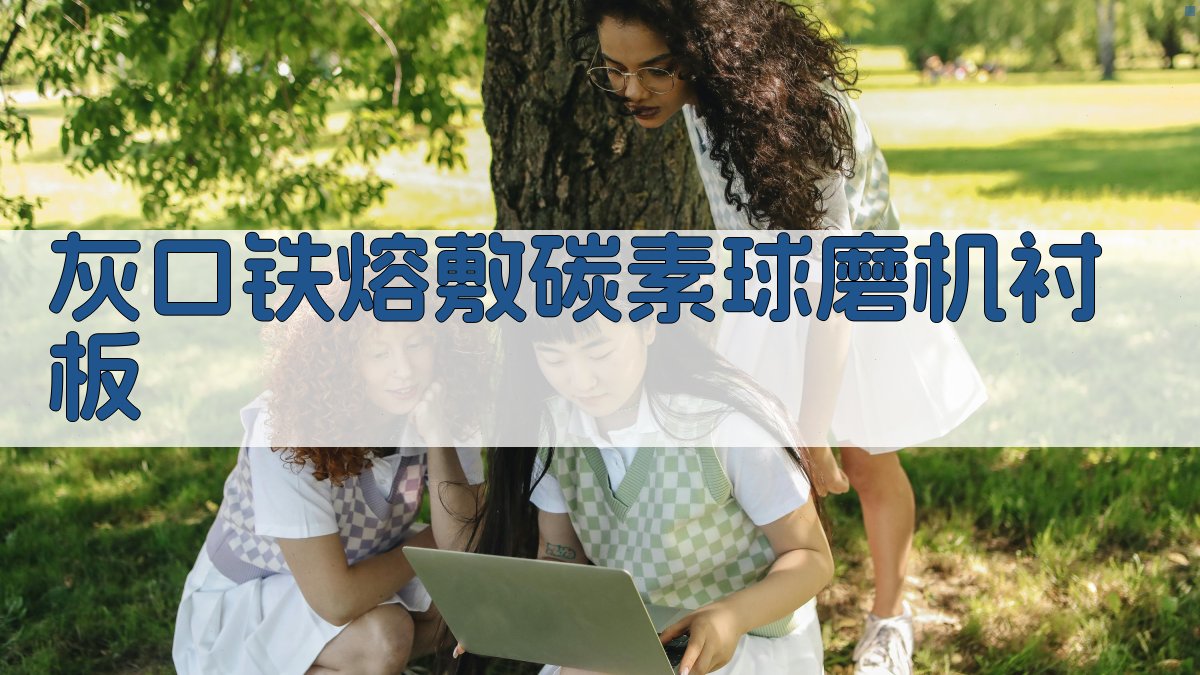 AI灰口铁熔敷碳素球磨机衬板分析工具