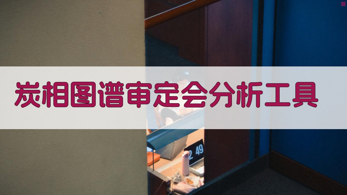 炭相图谱审定会分析工具