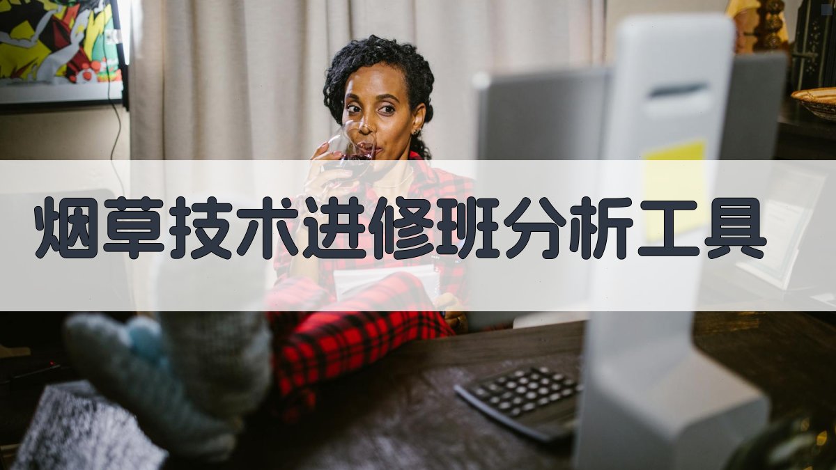 AI烟草技术进修班分析工具