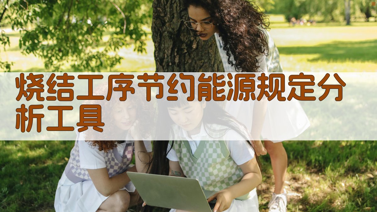 烧结工序节约能源规定分析工具