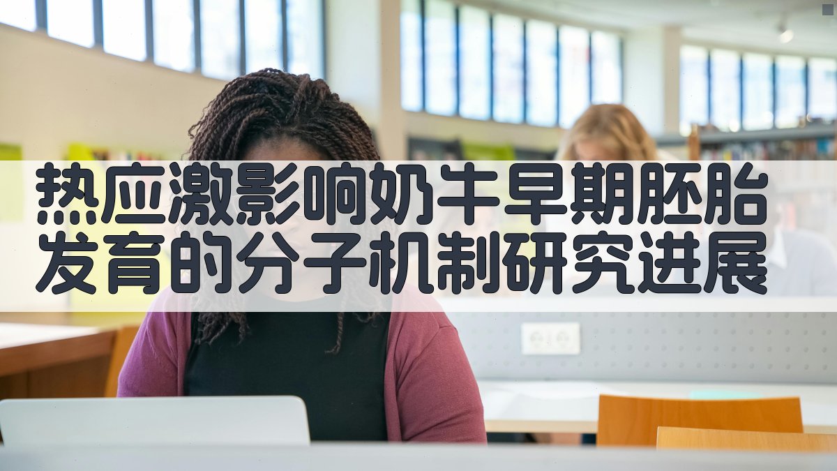 AI智能文献分析工具