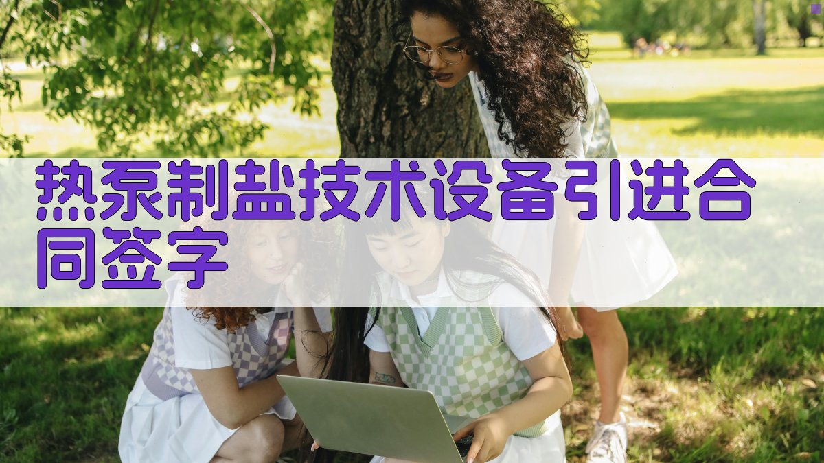 AI热泵制盐技术设备引进合同签字分析工具