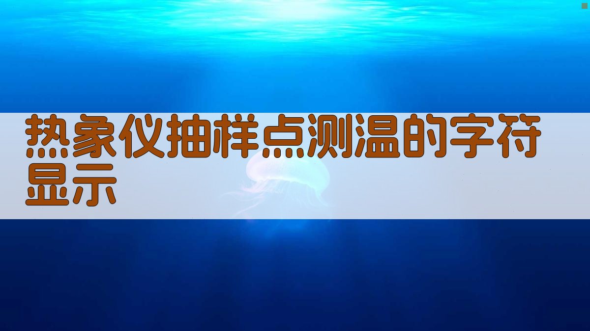 热象仪抽样点测温的字符显示